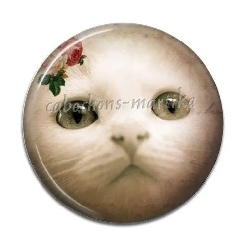 20mm cat resin cabochon