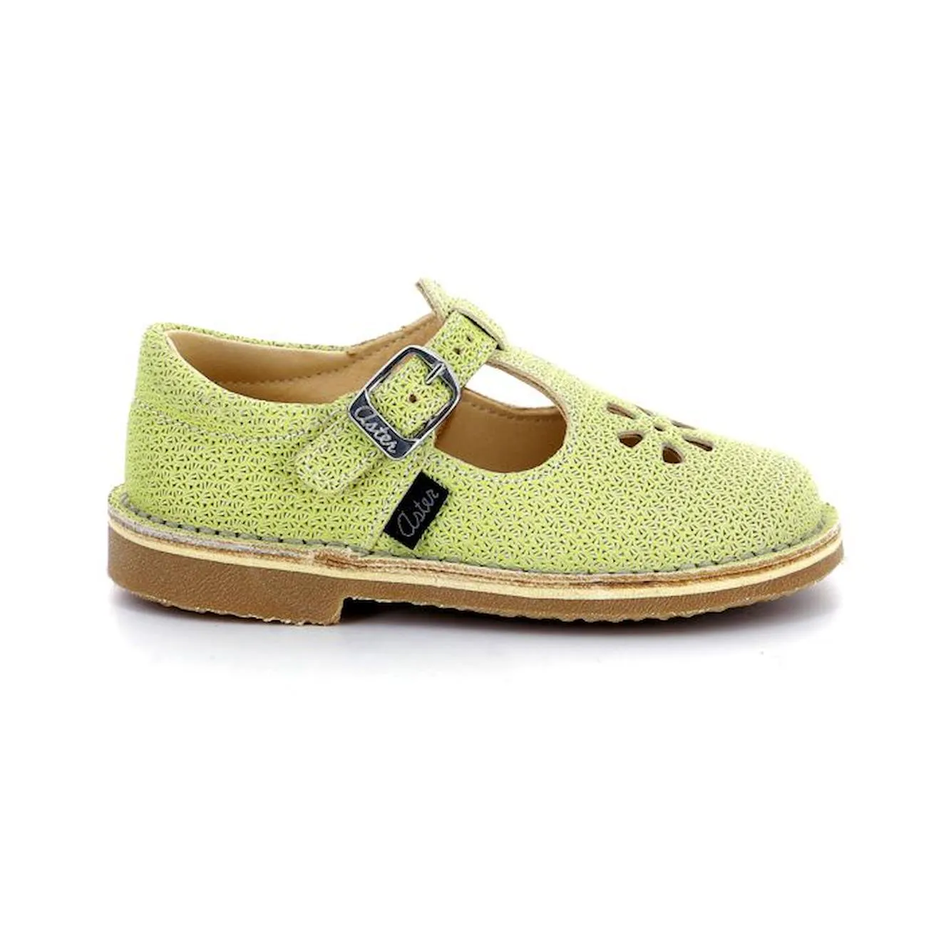 Aster Salomés Dingo-2 vert