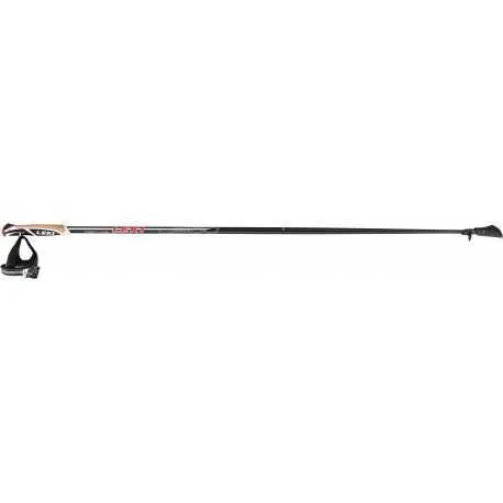 Bâtons walker platinium noir C5 100