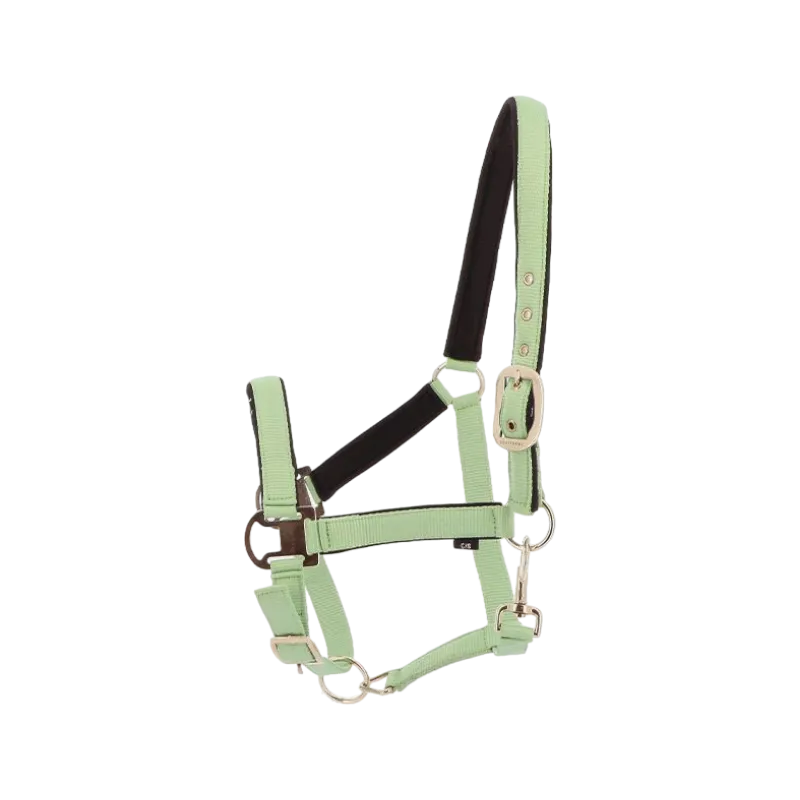 Equithème - Green Almond Air Halter