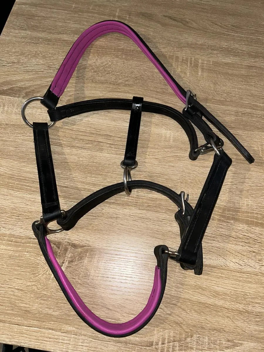 Leather halter
