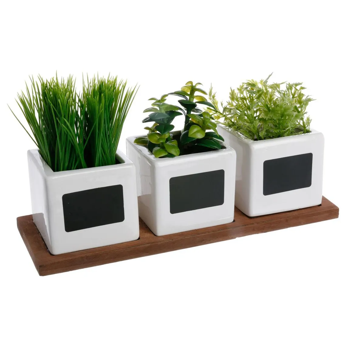 Lot de 3 herbes en pot blanc | 3 Suisses