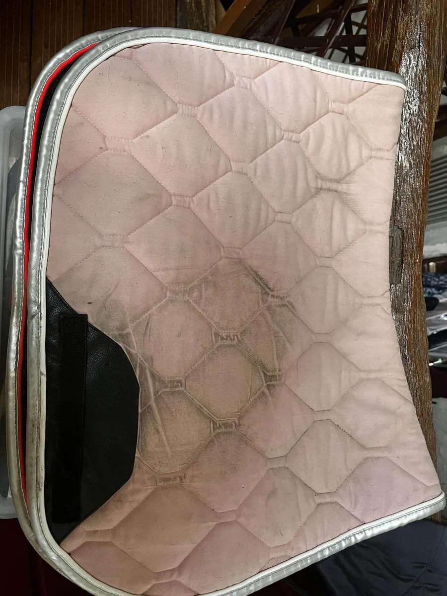Tapis GEM rose
